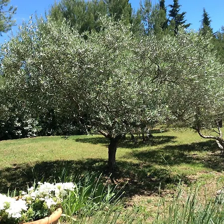 La Garrigue Des Alpilles Eygalières