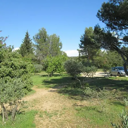 La Garrigue Des Alpilles *